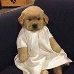 Profile Picture of SylviaXue (@sylviaxue.unicorn) on Instagram