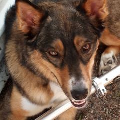 Profile Picture of funnyjory (@jorycolegrove) on Tiktok