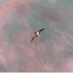 Profile Picture of Carlos Arnoldo Salcedo Mejía (@car.noldo) on Instagram