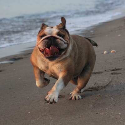 Profile Picture of Ruby John Bond (@RubyJohnBond) on Twitter