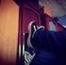 Profile Picture of Bryan Rocha (@bryan.rocha.1460693) on Facebook