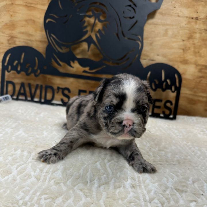 Profile Picture of Jason Jordan (@jasonjordan7684) on Tiktok