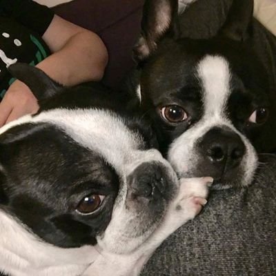Profile Picture of James Bittenbender SR (@BittenbenderSr) on Twitter