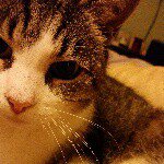 Profile Picture of Janice Hsu (@hsujanice) on Instagram