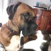 Profile Picture of Petra Schmidt (@@user4384036255570) on Tiktok