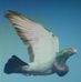 Profile Picture of Polom Poletz (@polom.poletz) on Facebook