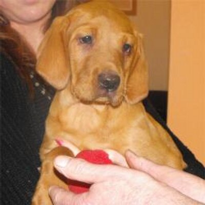 Profile Picture of Sharon Jarvis (@SharonJarvis1) on Twitter