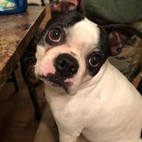 Profile Picture of Jenna James (@jenna-james-42) on Quora