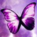 Profile Picture of Debbie McConnell (@debbie.mcconnell.79025) on Facebook