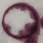 Profile Picture of kyle_jinks (@kyle_jinks) on Instagram