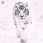 Profile Picture of Philipp Maswi (@philippmaswi8878) on Youtube