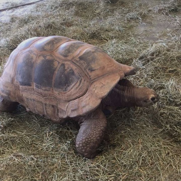 Profile Picture of Marshall Reopelle (@marshdeezy) on Poshmark