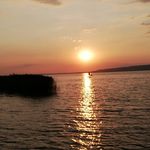 Profile Picture of Tillmann Éva (@tillmanne) on Instagram