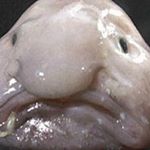 Profile Picture of Jason (@jasonharkins69) on Instagram
