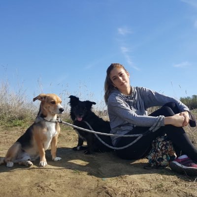 Profile Picture of Reyes Rodenas (@Rodenas_Reyes) on Twitter