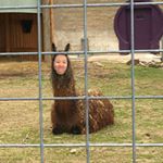 Profile Picture of Trish Nguyen (@trish.nguyen7) on Instagram