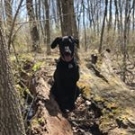 Profile Picture of Michael Niebauer (@michael.niebauer.5) on Instagram