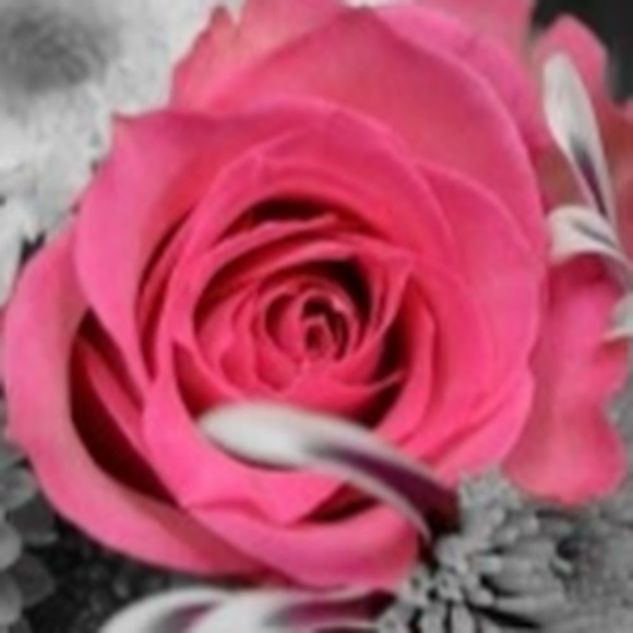 Profile Picture of Lamerle Simmons (@rosalvaz) on Poshmark