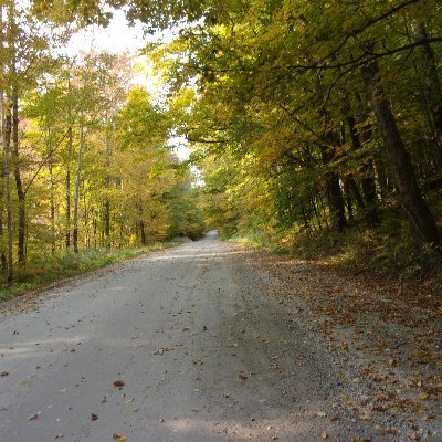 Profile Picture of Alberta Stewart (@Alberta68864949) on Twitter
