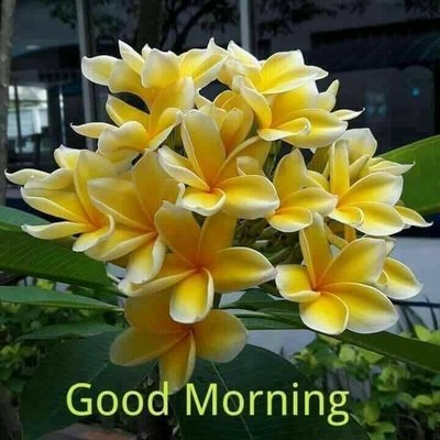 Profile Picture of Anand Chopra (@AnandChopra19) on Twitter
