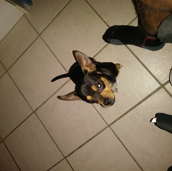 Hassan Singh-lara - Poshmark Profile Picture of Hassan Singh-lara (@harseeen) on Poshmark