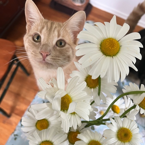 Profile Picture of Marissa Vandenburgh (@mlane5191) on Poshmark