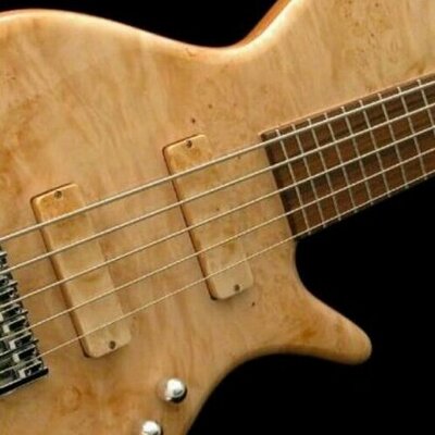 Profile Picture of Jeff Wade (@HolyGhostBass) on Twitter