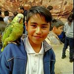 Profile Picture of Martin Hidalgo (@martinandres_hc) on Instagram