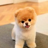 Profile Picture of Paula gallo (@@ghhyffgf) on Tiktok