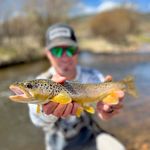 Profile Picture of Andy Leach (@andyintherockies) on Instagram