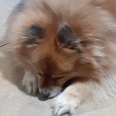 Brian MACPHEE - Twitter Profile Picture of Brian MACPHEE (@BrianMACPHEE4) on Twitter