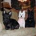 Profile Picture of David Barwick (@barwick_david) on Pinterest