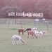 Profile Picture of Mark Walsh (@mark.walsh.940098) on Facebook