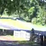 Profile Picture of Racerhedger (@racerhedger) on Youtube