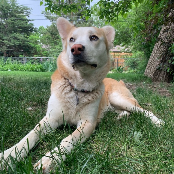 Profile Picture of Katie Bicknell (@katie_bicknell) on Poshmark