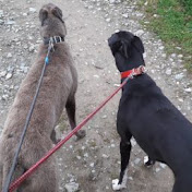 Profile Picture of Conor Murphy (@IrishBros) on Youtube