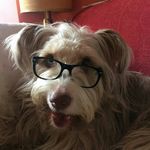 Profile Picture of Davide Carelli (@d.carelli) on Instagram