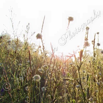 Profile Picture of Jillian Rohr Photos (@PicCliques) on Twitter