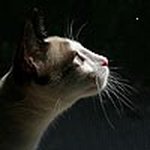 Profile Picture of Павел (@alekseyevamax) on Instagram
