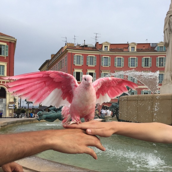 Profile Picture of Jordyn Rae (@rae_1015) on Poshmark