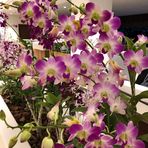 Pamela Mueller - Facebook Profile Picture of Pamela Mueller (@pamela.mueller.980315) on Facebook