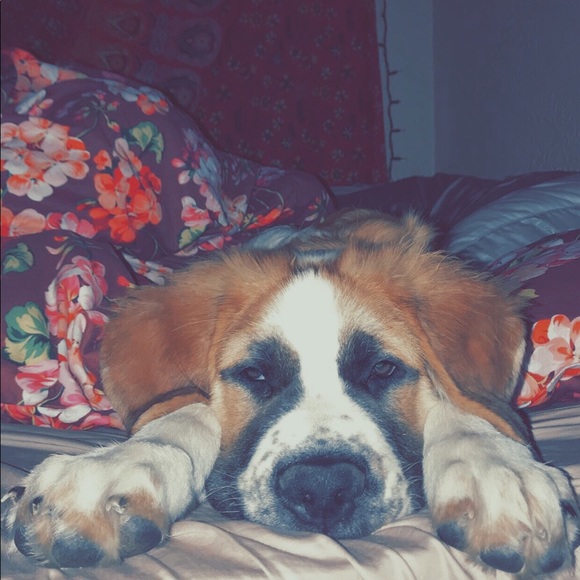 Profile Picture of Cera Cyester (@ccyester) on Poshmark