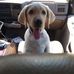 Profile Picture of Rusty John (@rusty.john.1610) on Facebook
