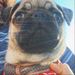 Profile Picture of Micah Freeman (@mfreeze7777) on Pinterest