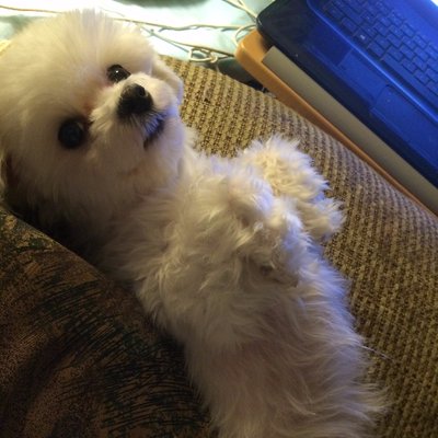 Profile Picture of Monica Mike Worthey (@mworthey77) on Twitter