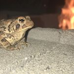 Profile Picture of Andrew (@andrew.24.lefevre) on Instagram