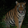 Profile Picture of wildlife_lover (@wildlife_lover) on Flickr