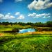 Profile Picture of Alexander Toth II (@untilthenexttee) on Pinterest
