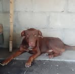 Profile Picture of Roberta Perez Chalchi (@roberta.perez.chalchi) on Facebook