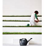 Profile Picture of Jesse Mills-McGowan (@_pube) on Instagram